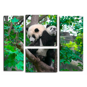 Модульная картина Мама-панда и малыш