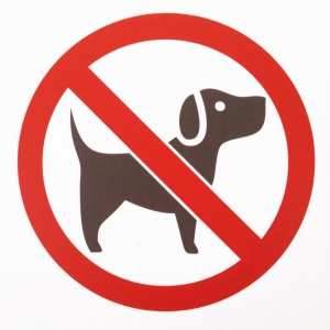 Т-3162 - Табличка Вход с собаками запрещен