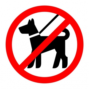 Т-3163 - Табличка Вход с собаками запрещен